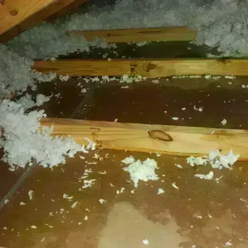 Attic Water Damage in Cleveland, WI